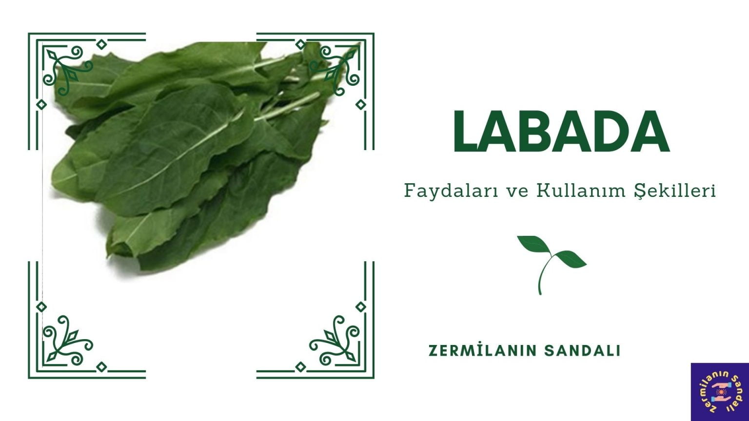 Labada » Labadanın Faydaları » Labadanın Kullanım Şekilleri